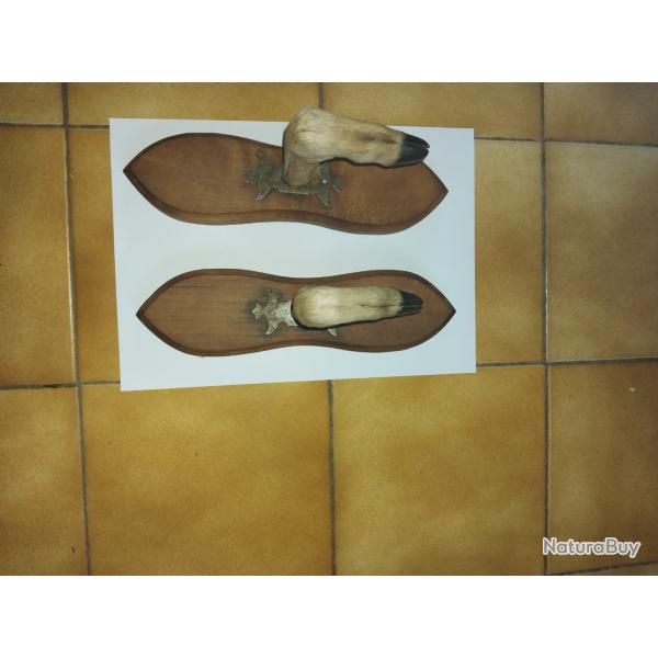 ratelier pattes cchevreuil  1 fusil