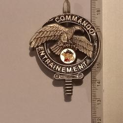 Insigne du centre national d'entrainement commando (CNEC) - Drago, Noisiel