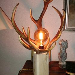 Tr&egrave;s belle lampe en bois de cerf !
