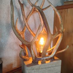 Magnifique lampe en bois de cerf