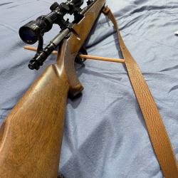 Carabine, zaztava Renato gamba