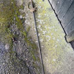 Ancienne &eacute;p&eacute;e Napol&eacute;on napol&eacute;onienne d'officier