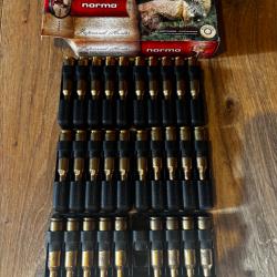 Cartouche Norma V Max 22-250 / 50 grains