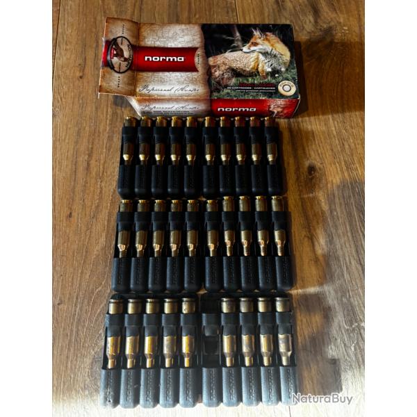 Cartouche Norma V Max 22-250 / 50 grains