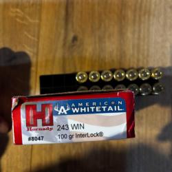 14 cartouches Hornady American Whitetail calibre 243 winchester poids 100 grains
