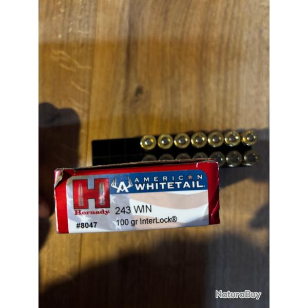 14 cartouches Hornady American Whitetail calibre 243 winchester poids 100 grains