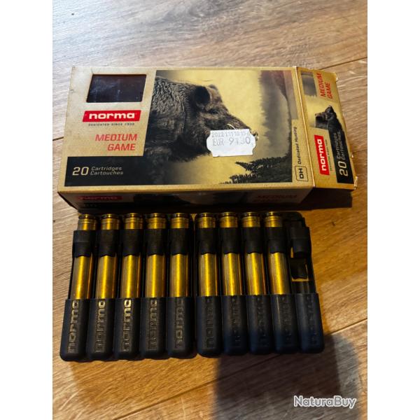 29 Tipstrike Norma 300 win mag / 170 grains