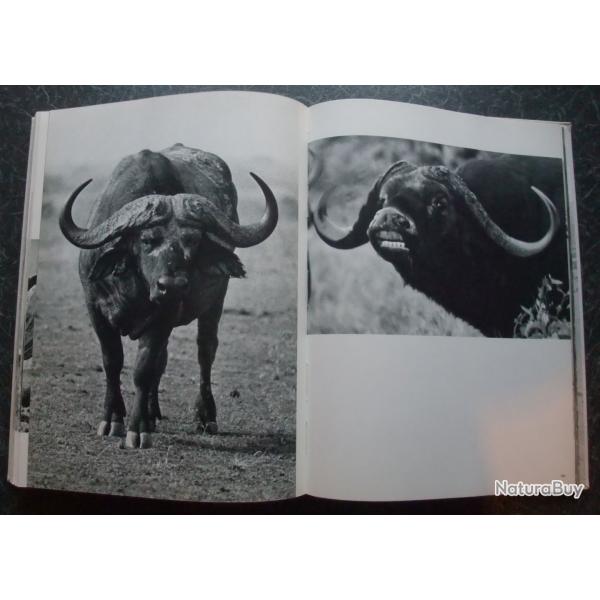 Chasse d'Afrique de Philippe Diol� et Jean Dragesco 1965