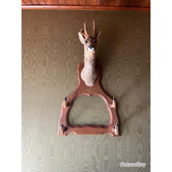 TROPHE DE CHASSE TETE DE CHEVREUIL