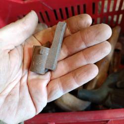 Noix de percuteur gras