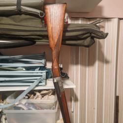 Jolie petit Chapuis progress UG