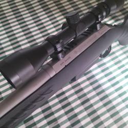 Carabine ruger american rifle 300 win mag