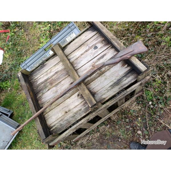 Fusil a percussion calibre 24