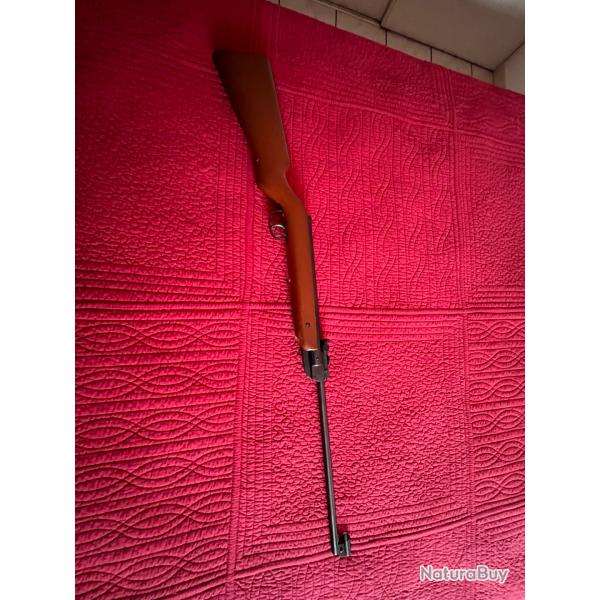 Carabine air comprim�