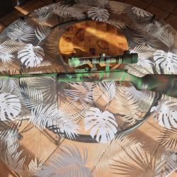 Carabine manu arme 22lr + optique