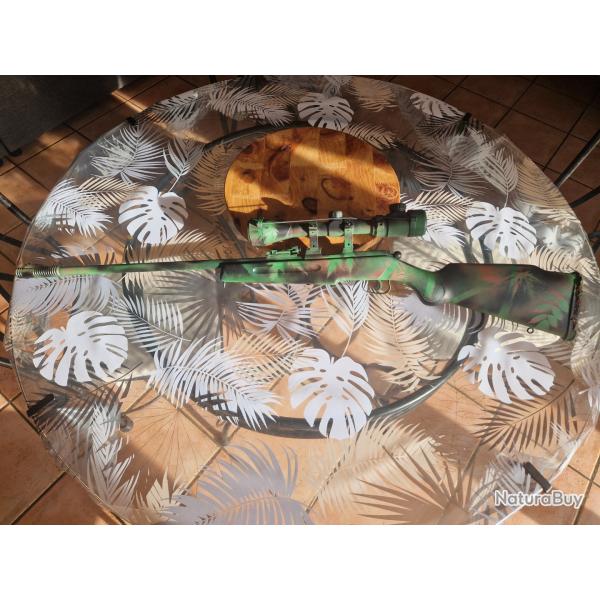 Carabine manu arme 22lr + optique