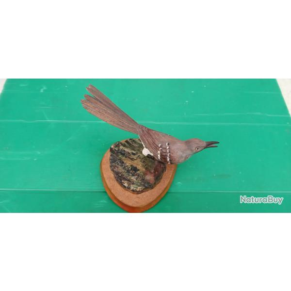 SUPERBE  OISEAU  "  COUCOU  "   TOUT  EN BOIS   .  PEINT  A LA MAIN  .    LE PRINTEMPS  ARRIVE  .