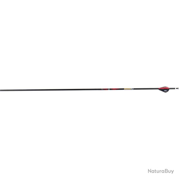 Fl�che Sanlida Dragon 10 carbone 6.2 (0.001) 400 32''