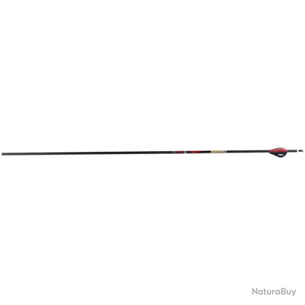 Fl�che Sanlida Dragon 10 carbone 6.2 (0.001) 400 32''