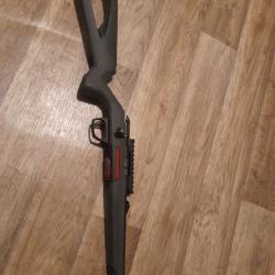 Winchester Xpert 22lr