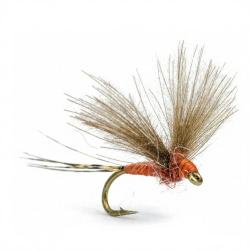 Mouche AB FLY Eph&eacute;m&egrave;res subimagos SUB RO H20