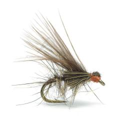 Mouche AB FLY FRESSANE L PB H14