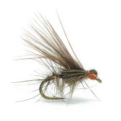 Mouche AB FLY FRESSANE L PB H14