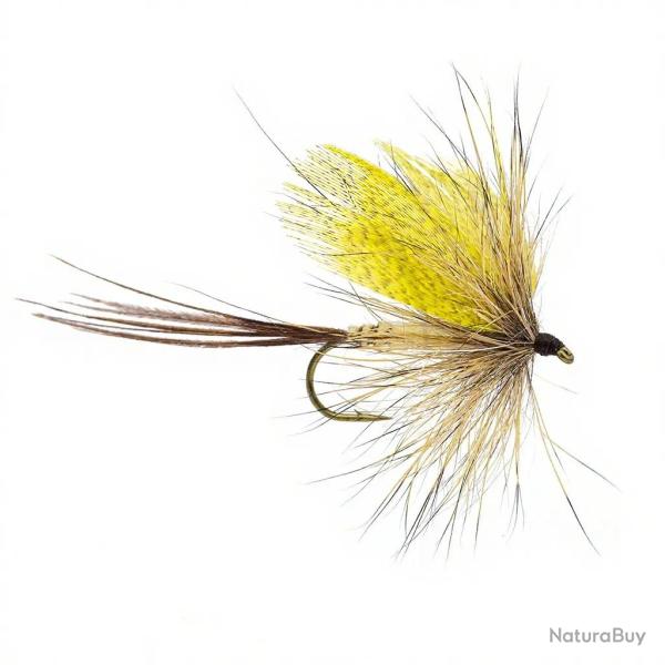 Mouche AB FLY Mouche de mai M MAI A H10