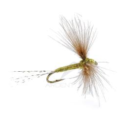 Mouche AB FLY Emergente SUB D OLC H16