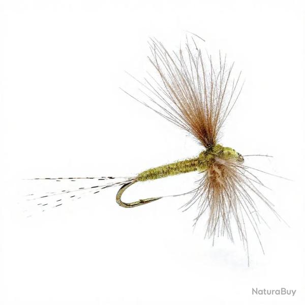 Mouche AB FLY Emergente SUB D OLC H16