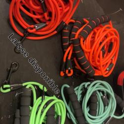 Laisse pour chien plusieurs couleurs