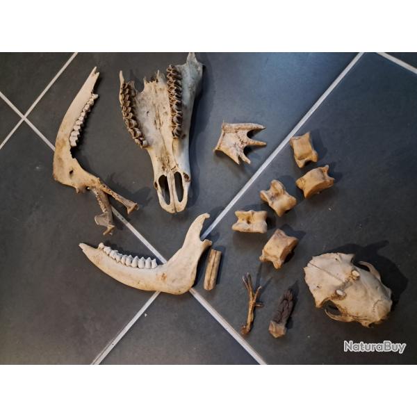 Lot de curiosit�s diverses #0309