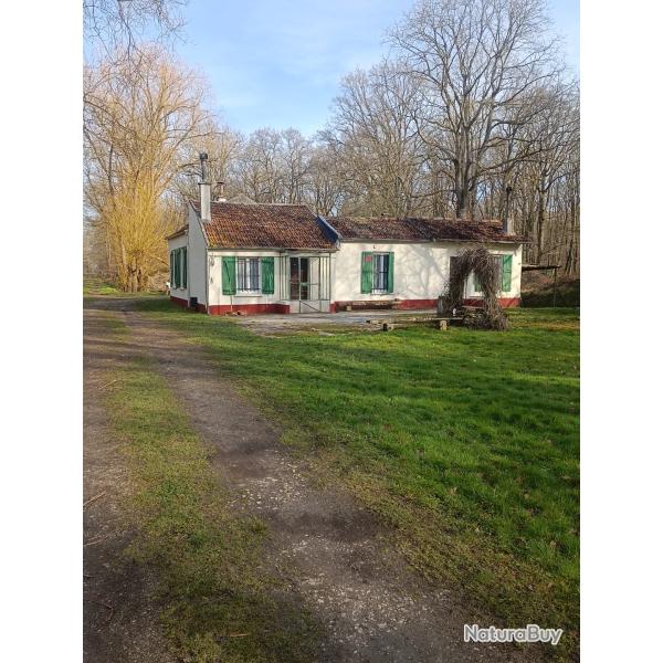 Chasse grand gibier dans le 77