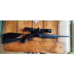 Carabine Bergara BA13 Thumbhole 243W filet&eacute;e avec lunette Vortex 3x9x40