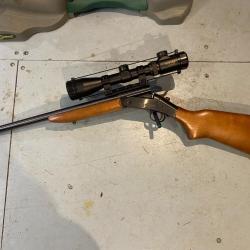 Carabine Harrington & Richardson 222 REM