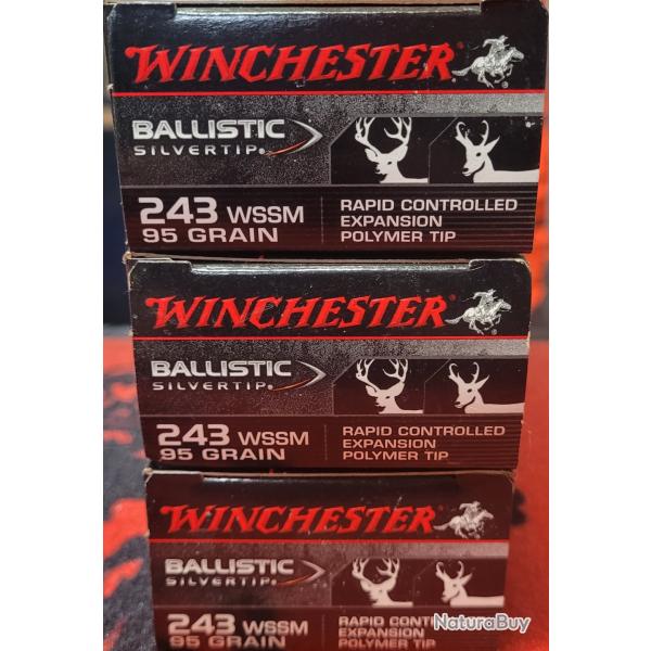 Lot 3 bo�tes de balles WINCHESTER 243WSSM ballistic silvertip 95grain
