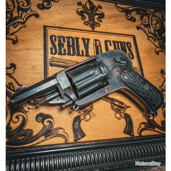 VELODOG 8 COUPS ! ROBUSTE EXCELLENTE FACTURE. Remise en vente suite a non paiement.