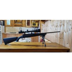 Carabine &agrave; verrou Axis ll calibre 243 winchester