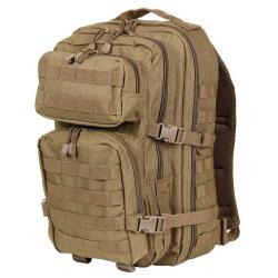 Sac Mountain 35L (101 Inc) Coyote