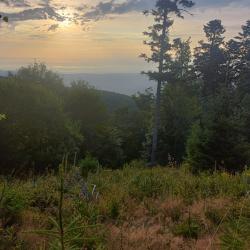 Recherche partenaire de chasse