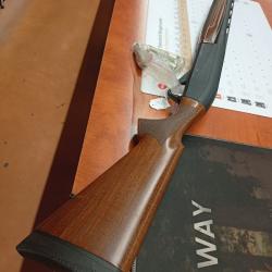 FUSIL REDSTONE ASELKON CAL.12