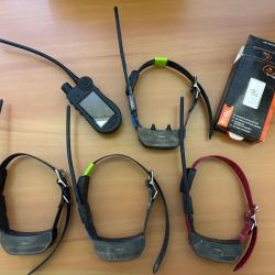 Ensemble GPS Sportdog TEK2 et 4 colliers pour pi&egrave;ces - 1� sans prix de r&eacute;serve !!