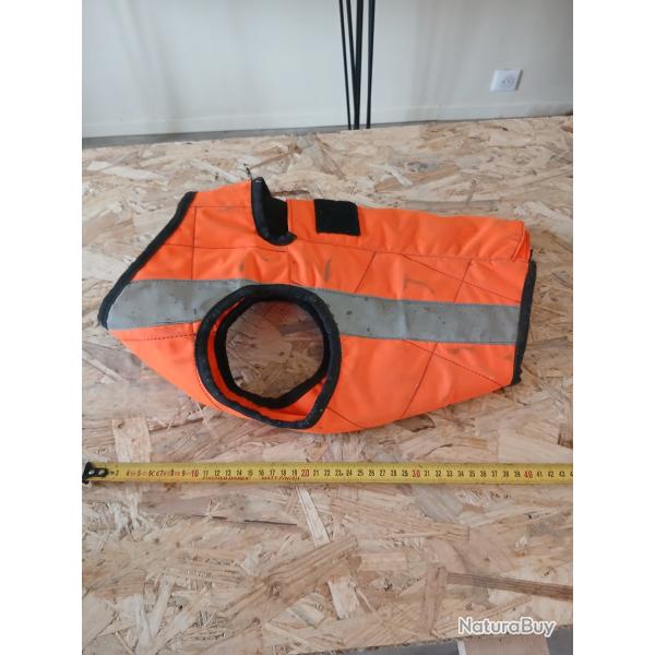 gilet protection chien ayrton