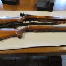 La carabine  Buffalo match de vos r&ecirc;ves