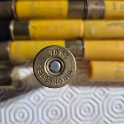 Vend  lot de 35 cartouches cal 20