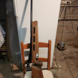 Carabine de tir sportif &agrave;  air comprim&eacute;