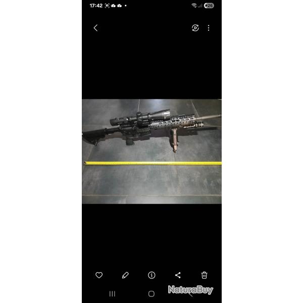 Vend carabine mosseberg ar 15 calibre 223 semi auto lunette vector 2-10-40 et poign�e bipied. TBE