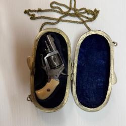 Superbe revolver bulldog type "PUPPY" en coffret Bronze calibre 22 short