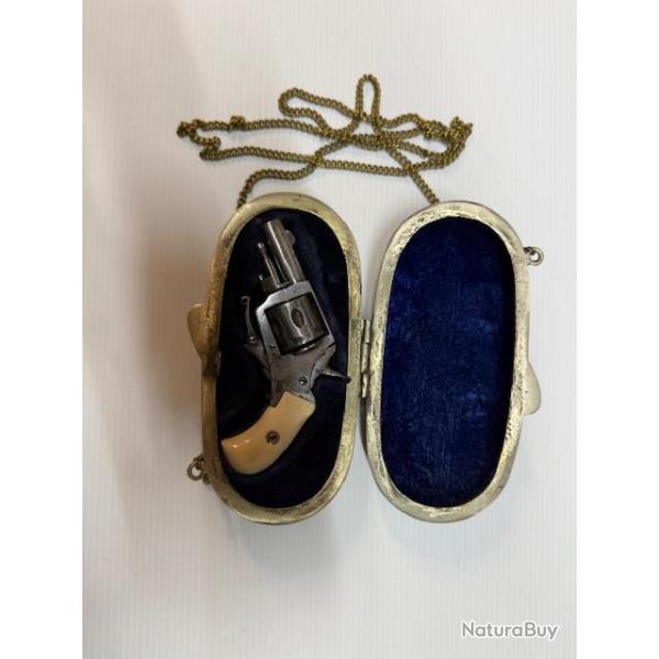 Superbe revolver bulldog type "PUPPY" en coffret Bronze calibre 22 short