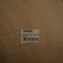 Ecusson ch&egrave;ne cerf 45x28 - Neuf